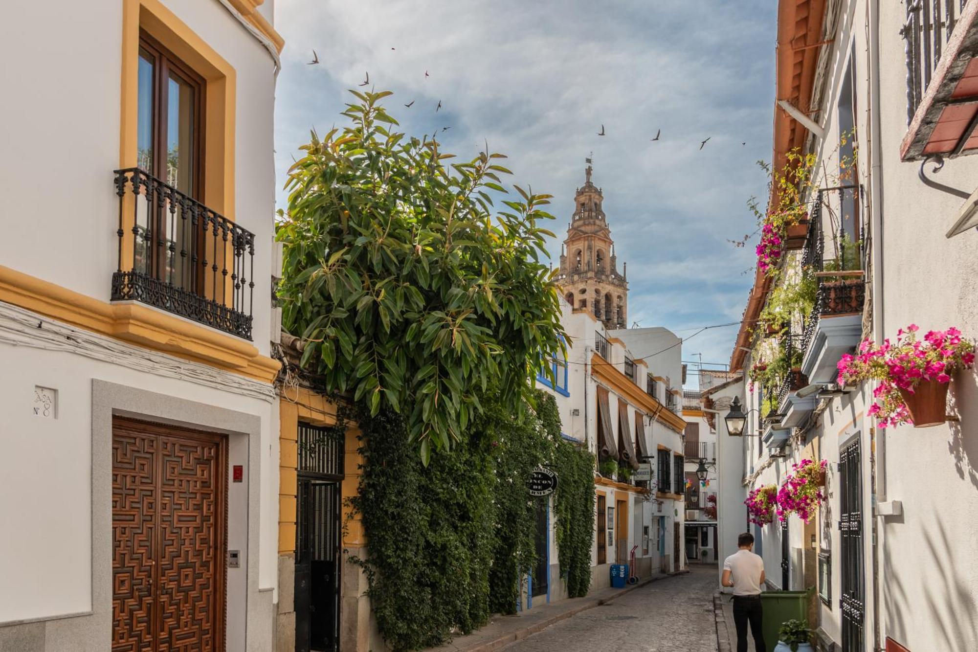 Luxury El Patio De La Juderia Lejlighed Córdoba Eksteriør billede
